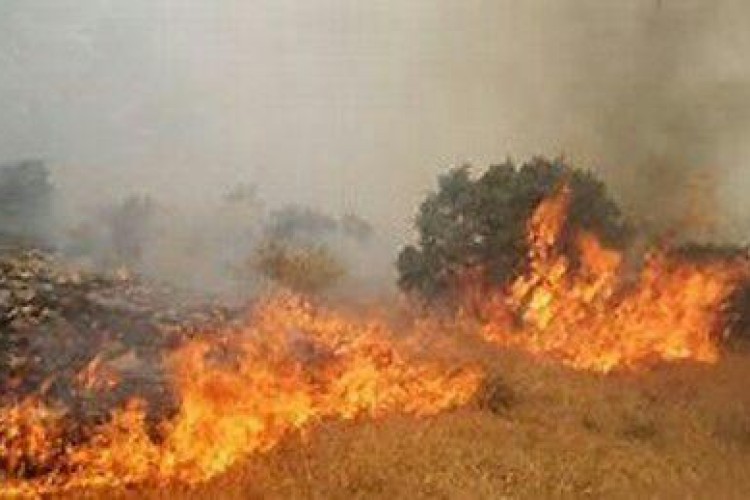 وقوع آتش سوزی در مراتع شهرستان پاوه