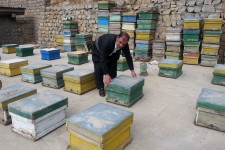 فردی که با پرورش زنبور عسل اقتصاد مقاومتی را در پاوه معنا کرد