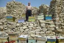  تحقق اقتصاد مقاومتي به شيريني عسل