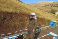  توليد عسل شفابخش ، ثمره اقتصاد مقاومتي