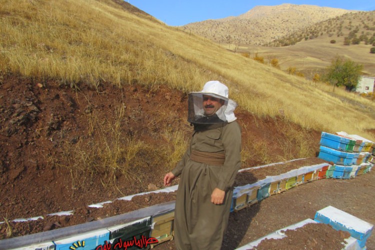  توليد عسل شفابخش ، ثمره اقتصاد مقاومتي