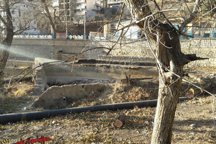 جوابیه آبفای پاوه بر خبر قطع چندین اصله درخت در سراب هولی پاوه