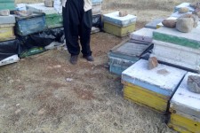 اقتصاد مقاومتی زمینه ساز اشتغال جوانان جویای کار