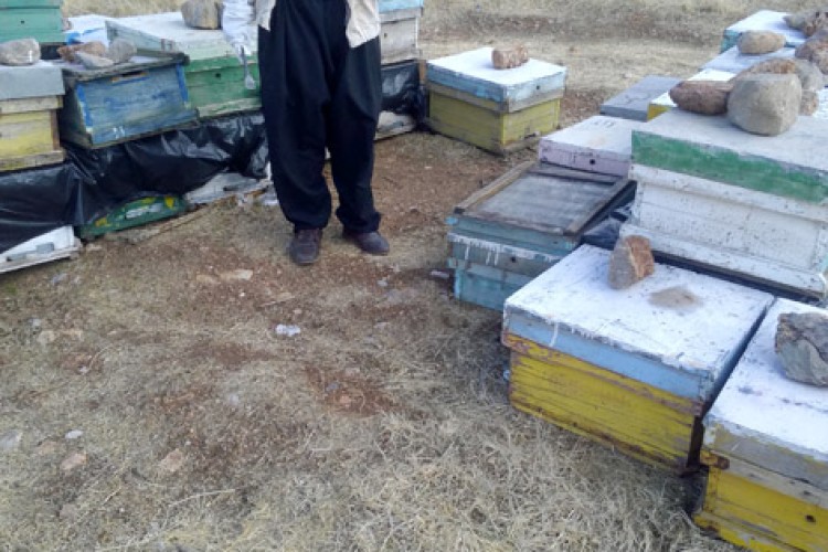 اقتصاد مقاومتی زمینه ساز اشتغال جوانان جویای کار