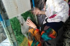 کارآفرینی در راستای اقتصاد مقاومتی/اجرای طرح قالیبافی توسط بانوان منطقه