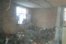 تجلی اقتصاد مقاومتی در پرورش مرغ بومی در پاوه