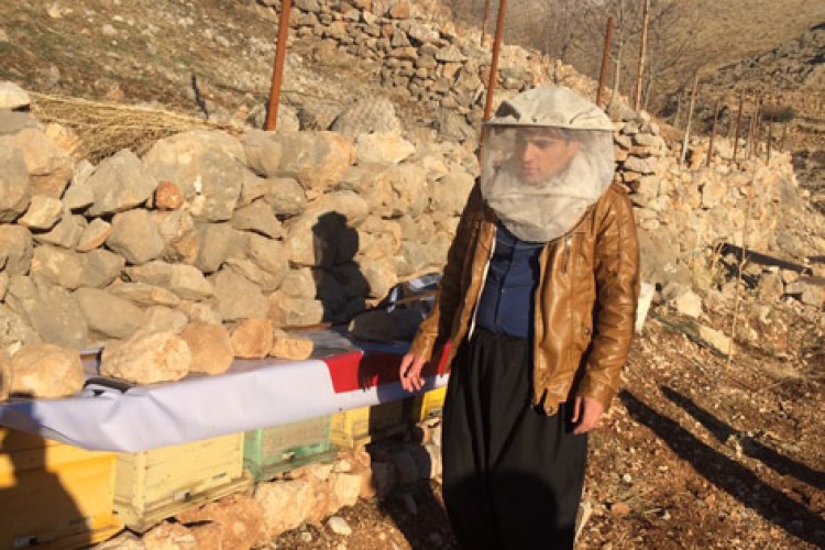 توليد عسل شفابخش ، ثمره اقتصاد مقاومتي