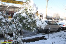 بارش برف در شهرستان پاوه