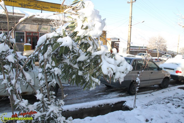 بارش برف در شهرستان پاوه