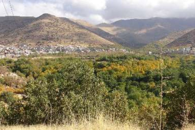  1400 هکتار باغ جدید در زمین های شیبدار حاشیه سد داریان احداث می شود