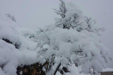 مسدود شدن راههای ارتباطی روستایی در پی بارش سنگین برف در پاوه