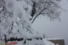 گزارش تصویری از بارش سنگین برف در پاوه