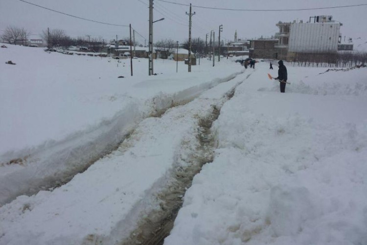 نجات چند نفر از همشهریان گرفتار در برف در پاوه