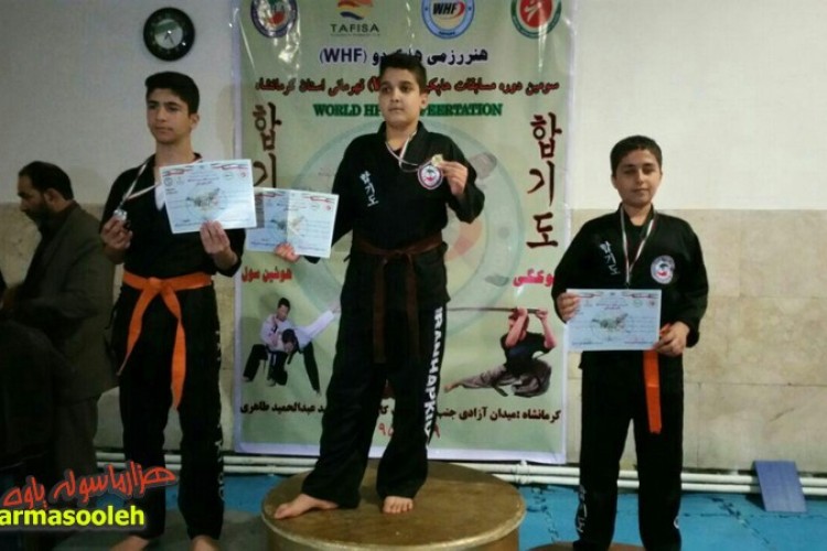 درخشش رزمی کاران پاوه در مسابقات هاپکیدوی قهرمانی استان 