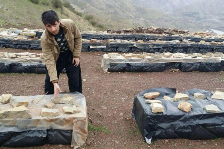 راه اندازی یک واحد زنبورداری در پاوه با تسهیلات اقتصاد مقاومتی