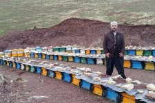 کارآفرینی حرفه زنبور داری در اقتصاد مقاومتی در پاوه