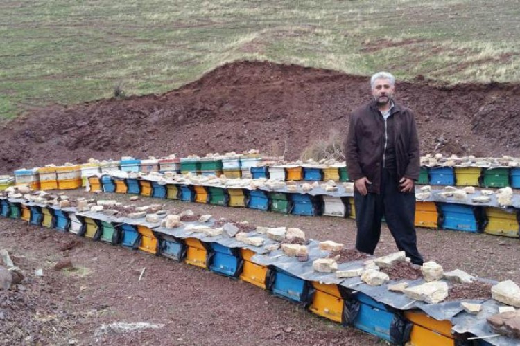 کارآفرینی حرفه زنبور داری در اقتصاد مقاومتی در پاوه