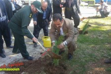 کاشت نمادین نهال در پارک ورودی شهر پاوه