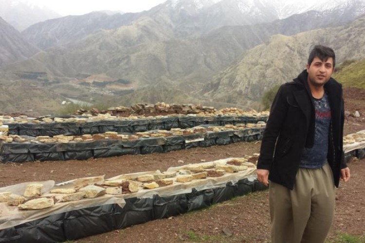 فردی که با پرورش زنبور عسل اقتصاد مقاومتی را در پاوه معنا می کند