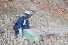 کارآفرینی در راستای اقتصاد مقاومتی/تحقق اقتصاد مقاومتی با زنبورداری در پاوه