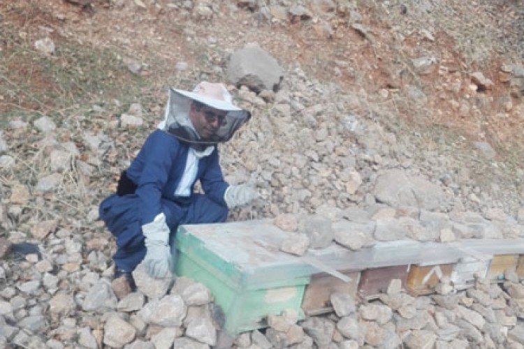 کارآفرینی در راستای اقتصاد مقاومتی/تحقق اقتصاد مقاومتی با زنبورداری در پاوه