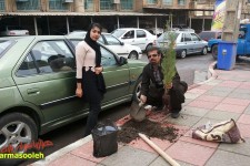 وقتی که شهرداری درختان را قطع می کند/خشکیده شدن درختان بدلیل بی توجهی شهرداری/شهروندان مسئولیت پذیر و حفظ محیط زیست