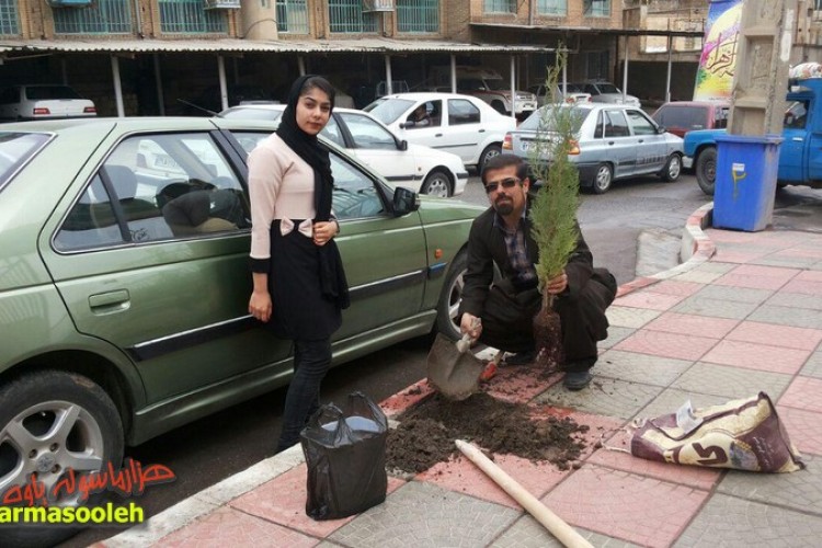 وقتی که شهرداری درختان را قطع می کند/خشکیده شدن درختان بدلیل بی توجهی شهرداری/شهروندان مسئولیت پذیر و حفظ محیط زیست