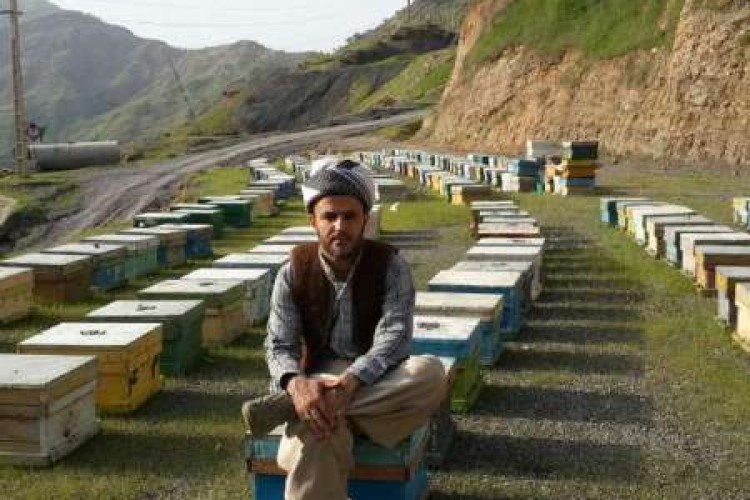 تبلور اقتصاد مقاومتی در فعالیت های ماموستای جوان اهل سنت