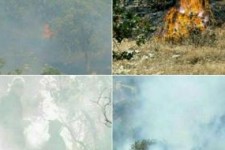 فصل سوختن زاگرس شروع شد/ مدیریت بحران از آمادگی خود گزارش بدهد