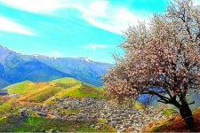 پاوه را با مردمانی مهمان نواز و طبیعت زیبایش می شناسند