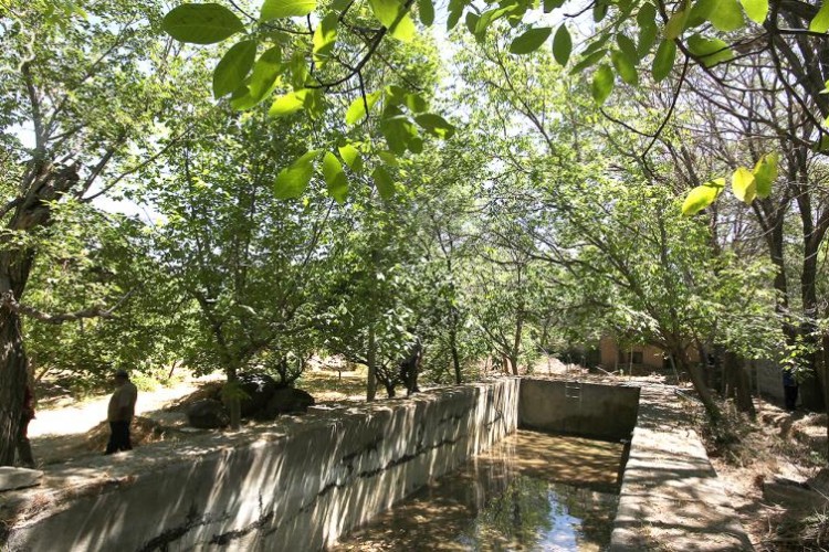 آلوده ساختن و تملک منابع آبی ,درد مشترک انسان و حیوان