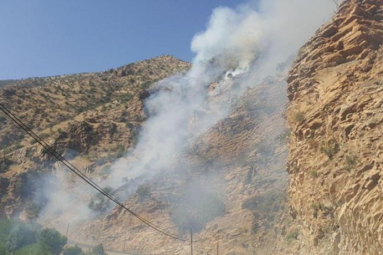 وقوع آتش سوزی در جنگل ها و مراتع زردوئی و باغات روستاي شوشمي شهرستان پاوه/آتش سوزي مهار شد