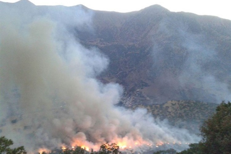 جنگل‌ها و مراتع بخش باينگان طعمه حریق شد