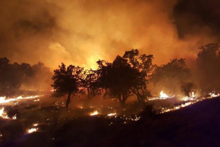 مدير كل منابع طبيعي استان: آتش سوزي در منطقه اورامانات پس از سه شبانه روز هنوز مهار نشده است/رئيس محيط زيست پاوه: بیش از 130هکتار از جنگل ها و مراتع منطقه در آتش سوخت