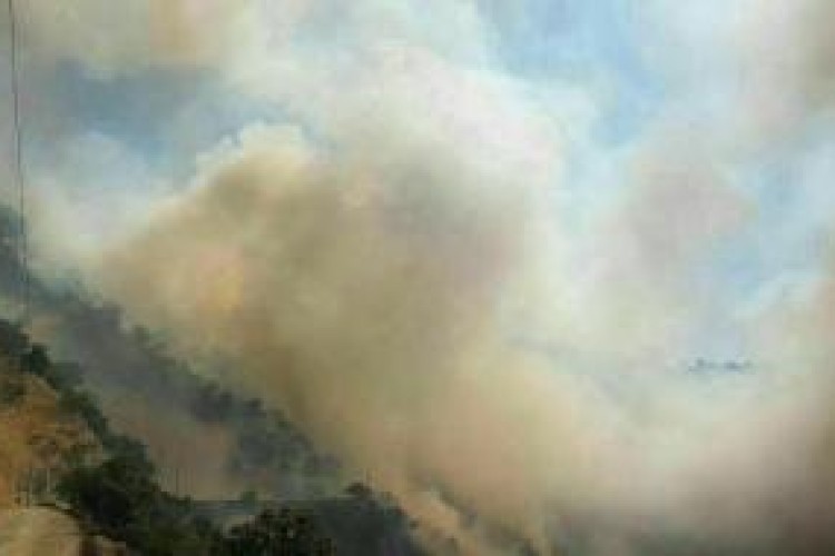 مهار آتش‌سوزی جوانرود پس از ۳ روز/ 170 هكتار از مراتع در آتش سوخت