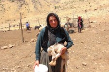 بانوی پاوه ای الگوی کارآفرینی