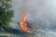 سیمای سیاه و سوخته کوهستان های اورامانات 