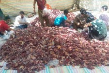 برگزاری مراسم بزرگ قربانی در روز عید قربان در شهر بانه وره و روستای دودان