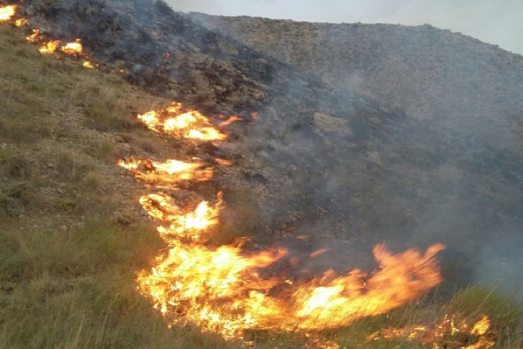 آتش جان مراتع و جنگل هاي منطقه مرخيل باينگان پاوه را گرفت 