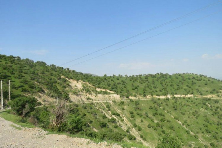 بهسازي جاده لشكرگاه به مزران ، از مطالبات مردم باينگان است