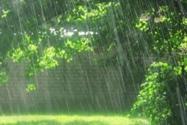 نواحی شمالی استان کرمانشاه بارانی می شود