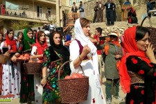 برگزاري افتتاحيه آیین شکرگزاری انارانه در روستای ساتیاری شهرستان پاوه+تصاوير