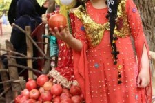 آیین شکر گزاری انار +فیلم 