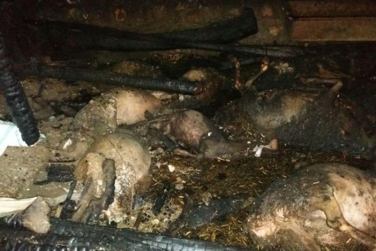  اتصال برق خانه ای را در باینگان طعمه حریق کرد