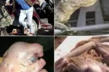 مروری بر شایعات شاخدار فضای مجازی ایران/ از خاکسپاری هیولا در جنوب کشور تا انفجار مرگ بار و صادرات کفن به کرمانشاه