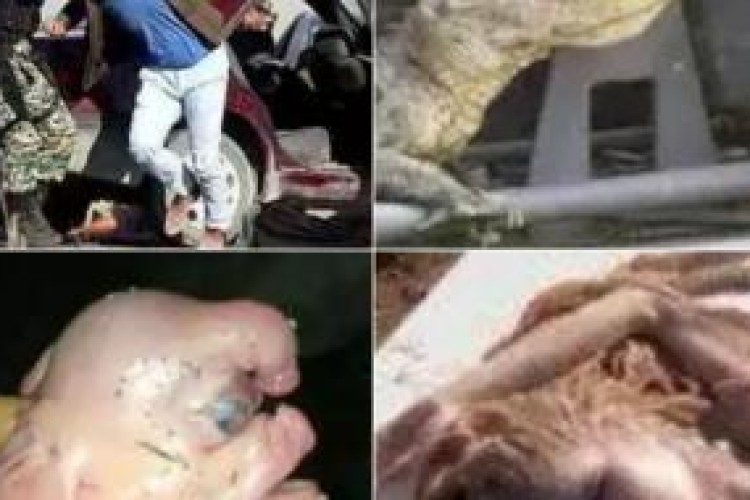 مروری بر شایعات شاخدار فضای مجازی ایران/ از خاکسپاری هیولا در جنوب کشور تا انفجار مرگ بار و صادرات کفن به کرمانشاه