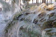 کاهش محسوس دمای هوا در استان کرمانشاه/وقوع یخبندان