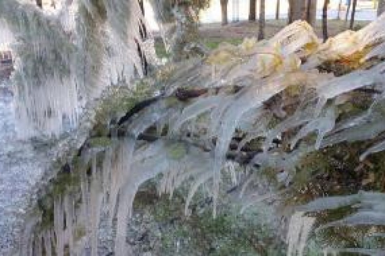 کاهش محسوس دمای هوا در استان کرمانشاه/وقوع یخبندان