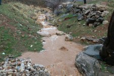 بارش 110 میلیمتر باران در شهرستان پاوه