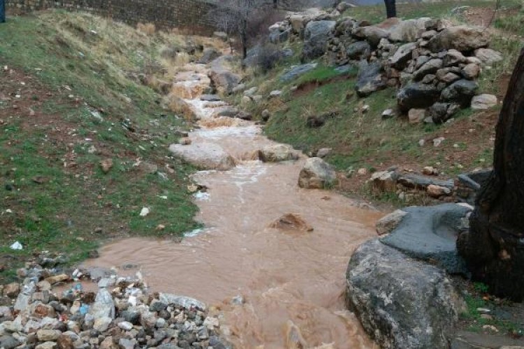 بارش 110 میلیمتر باران در شهرستان پاوه